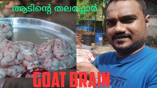 Goat Brain RecipeGoat Brain Lamp Brain FryGoat Brain Fry Recipe in Malayalam ആടിന്റെ തലച്ചോർ Fry [upl. by Elleinwad]