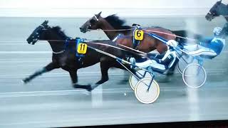 V75 Romme DD 2 Whos Who [upl. by Imac]