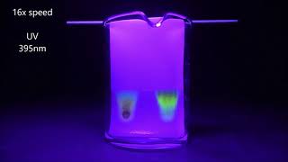 Multicolor fluorescent carbon quantum dots  CQD synthesis and separation by paper chromatography [upl. by Ahsimet]