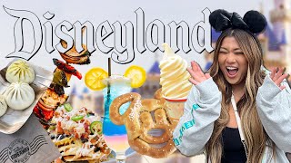 What I Eat amp Spend in a Day at Disneyland [upl. by Neleh]