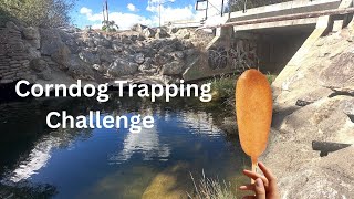 I Left a Corn Dog in a Spillway for 24 Hours The Trap Caught Something Crazy [upl. by Llerat223]