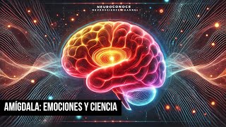 Cómo la Amígdala Impacta Tus Emociones La Ciencia Detrás de Cada Reacción [upl. by Tortosa]