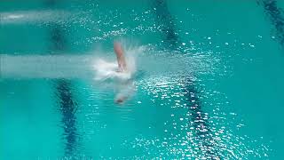 Boys B Platform  Eindhoven Diving Cup 2024 [upl. by Nadabus197]