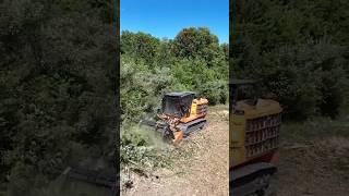 How the professionals do Forestry Mulching forestrymulching landclearing virginia machinery [upl. by Yanehs327]