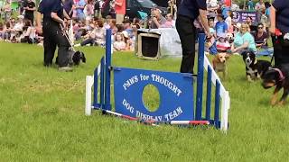 Paws for Thought Dog Display Team [upl. by Cirle]