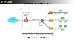 FTTx Network PON AON OLT ONU [upl. by Shafer61]