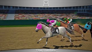 Photo Finish Horse Racing part 4 Horse Game [upl. by Bocyaj185]