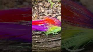 Baitfish fly pattern Bright and flashy [upl. by Rai]