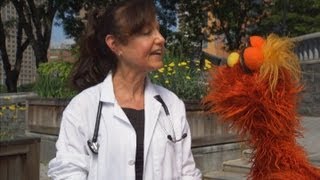 Sesame Street Word on the Street  Veterinarian [upl. by Ettevram]