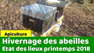 Sortie dhivernage pour les abeilles [upl. by Nahshun]