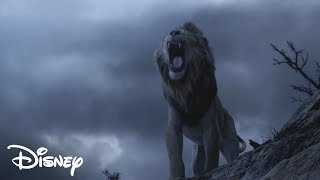 El Rey León 2019  Simba Confronta a Scar Español Latino [upl. by Rihsab]