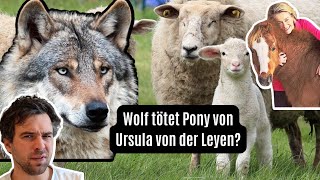 Wölfe abschießen Wildtierbiologe über Wölfe in Deutschland I Wölfe und Landwirtschaft [upl. by Alburga]