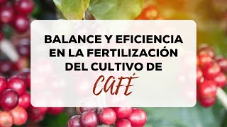 Balance y eficiencia en la fertilización del Cultivo de Cafe [upl. by Hallee344]