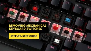 How to Remove Mechanical Keyboard Switches Stepbystep Guide mechanicalgamingkeyboard [upl. by Hawger]