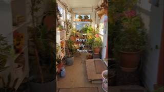 Getting ALL my PLANTS 🥶 Indoors for WINTER containergardening wintergarden gardentour [upl. by Ayk491]