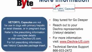 Dechra  Vetoryl Capsules SoundByte [upl. by Akenal]