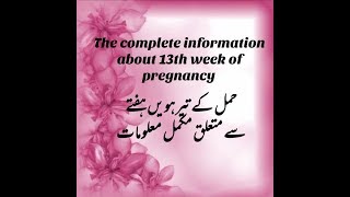 13 Weeks Pregnant Baby Size  Health Care Tips For Pregnant Women  The Voice Of Woman [upl. by Weikert]