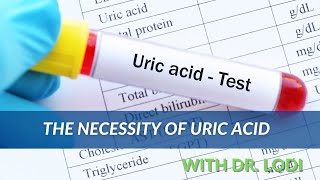 The Necessity of Uric Acid Dr Lodi [upl. by Ecnahs410]