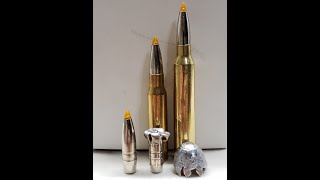 Federal Premium Trophy Bonded Tip 165 gr 30 cal ballistics gelatin test [upl. by Nywrad]