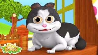 Meow Meow Billi Karti म्याऊं म्याऊं बिल्ली करती Nursery Videos and Kids Rhymes [upl. by Daile]