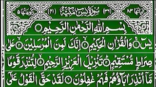 Surah Yaseen Tilawat  Surah Ar Rahman Beautiful Recitation  yaseen sharif ki tilawat  With Arabi [upl. by Drofiar619]