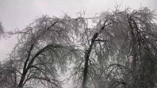 January 2009  Trees breaking after Northwest Arkansas ice storm [upl. by Nolitta]