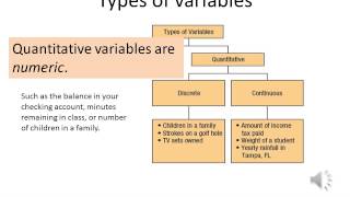 Introduction to Business Statistics Lesson 1 [upl. by Araz860]