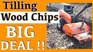 Do WOOD CHIPS Take NITROGEN From Soil  TILLING WOOD CHIPS INTO CLAY SOIL  NATURAL GARDENING [upl. by Zoldi]