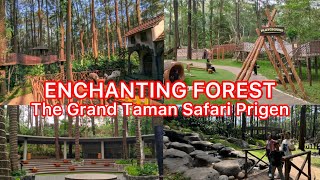 ENCHANTING FOREST TAMAN SAFARI PRIGEN‼️Wahana Terbaru 2024 Full Review [upl. by Alehs]