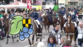 Winzerfest Döttingen 2024  Umzug [upl. by Egin]