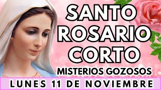 SANTO ROSARIO CORTO de hoy Lunes 11 de Noviembre 2024🌺Misterios Gozosos🌺Rosario corto de hoy🙏🏼 [upl. by Tniassuot]