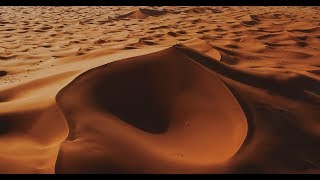 ALIVE  Merzouga 4K [upl. by Ahsenra]