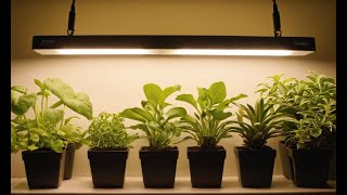 Grow Like a Pro Tips for Using Grow Lights in Indoor Gardening [upl. by Nimajaneb]