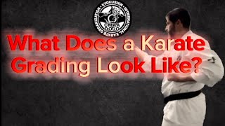 What does a Karate Grading Look Like [upl. by Lamok85]