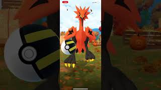 Catching galar zapdos in Pokemon go [upl. by Unam]