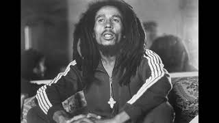 bob marley and the wailers Slave Driver instrument alt 3 [upl. by Shlomo]