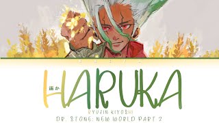 Dr Stone New World Opening  Ryujin Kiyoshi  Haruka 遥か LyricsKanRomEng [upl. by Collbaith]