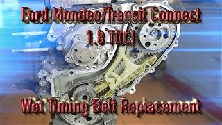 Ford MondeoTransit Connect 18tdci wet timing belt replacement [upl. by Rutledge92]