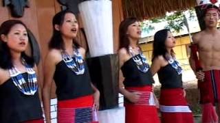 TANGKHUL NAGA SONG WUNG TANGKHUL NGASHAN [upl. by Blim]