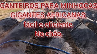 CANTEIROS DE MINHOCAS GIGANTES AFRICANAS FÁCIL E EFICIENTE PASSO A PASSO [upl. by Haim]