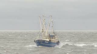 Büsum  Nordsee  Sturmtief Poly 050723  Krabbenkutter SD21 kommt nicht in den Hafen [upl. by Enner]