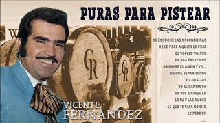 PURAS PARA PISTEAR SELECCIÓNADAS VICENTE FERNÁNDEZ MIX PERRONAS VICENTE FERNÁNDEZ EBRIO [upl. by Neenaej]