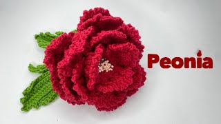 Peonias [upl. by Ahsieyn]