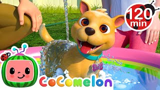 Bath Time with Bingo  Animals for Kids  Animal Cartoons  Funny Cartoons  Learn about Animals [upl. by Nenney]