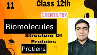 Biomolecules Class 12th Proteins Structure Of Proteins [upl. by Teplica]