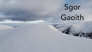 Sgor Gaoith  Stunning Hike In The Cairngorms [upl. by Legir994]