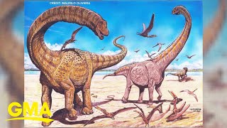 2 new dinosaur species discovered in Northwest China l GMA [upl. by Soracco]