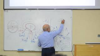 dvelopment of the tracheoesophageal tube and larynx PART 1 [upl. by Bartlett375]