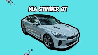 Kia Stinger GT O Sedã Esportivo que Revolucionou a Kia [upl. by Enael]