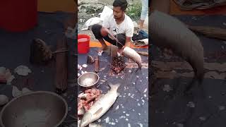 Bish glass cup cutting video fish fishcooking fishcutting fishcuttingskills fishing [upl. by Acinor433]